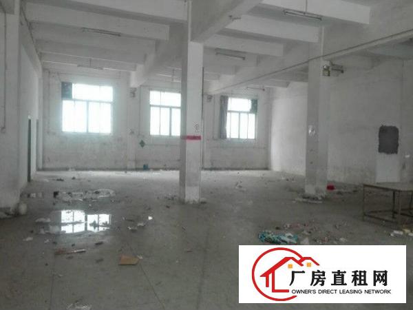 
凤岗雁田标准厂房一楼500平米出租，水电齐全