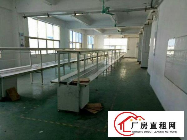 
凤岗油甘埔精品独院2800平米招租