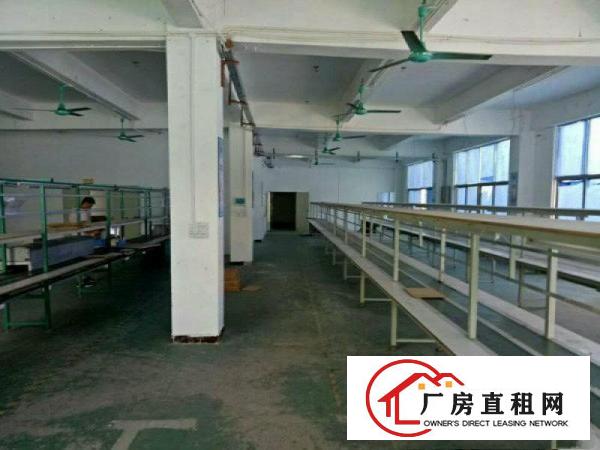 
凤岗油甘埔精品独院2800平米招租