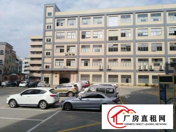 
凤岗金凤凰标准厂房一楼1300平米出租