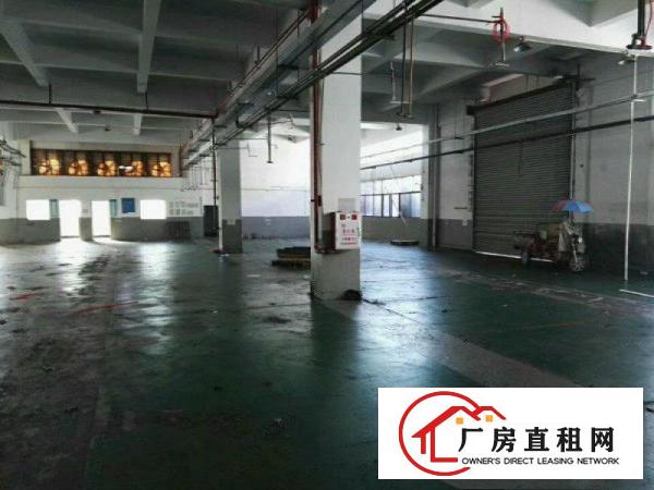 
凤岗金凤凰超靓独院三层厂房5000平米招租