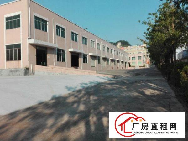 
凤岗金凤凰标准厂房一楼5500平米出租6米高