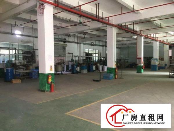 
凤岗雁田标准厂房一楼2500平米出租价格实惠可分租
