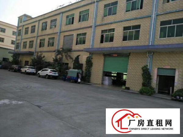 
凤岗雁田标准厂房一楼2500平米出租价格实惠可分租