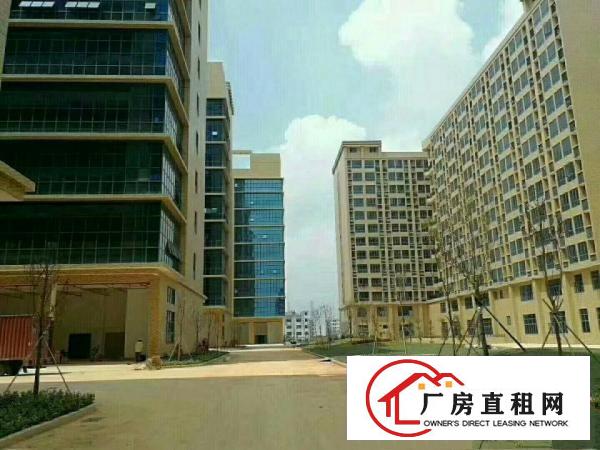 
凤岗镇高端产业园（双证齐全）十三万平米招商大小分租