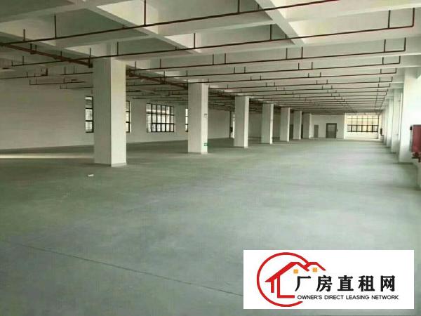 
凤岗镇高端产业园（双证齐全）十三万平米招商大小分租