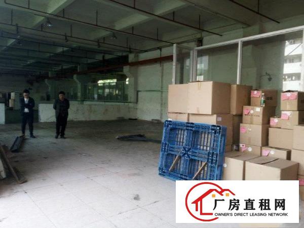 
凤岗标准一楼厂房700平方带水电办公室装修出租