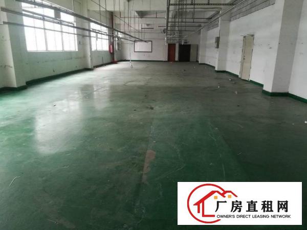 
凤岗油甘埔新出带办公室装修，800平米彩光非常好