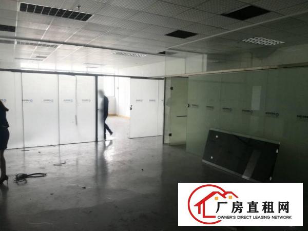 
凤岗油甘埔新出带办公室装修，800平米彩光非常好