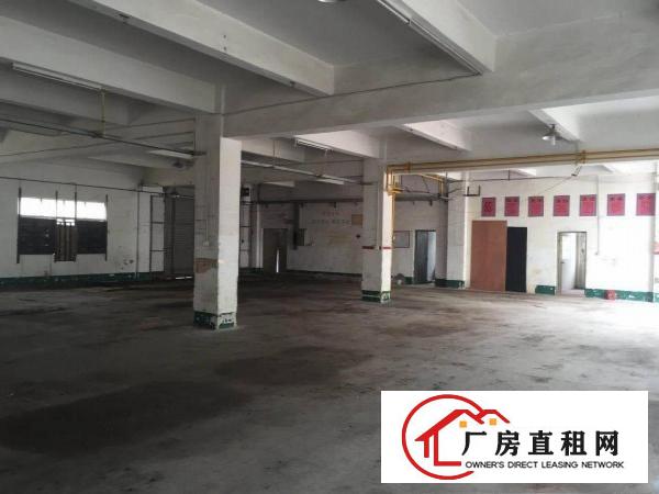 
凤岗新出原房东！原房东一楼出租！1700平。可分租