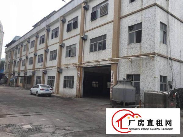 
凤岗新出原房东！原房东一楼出租！1700平。可分租