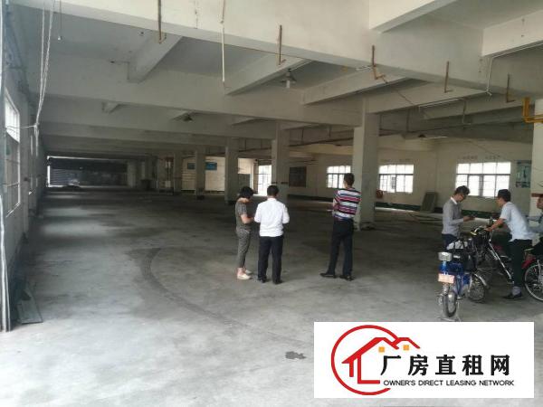 
凤岗新出原房东！原房东一楼出租！1700平。可分租