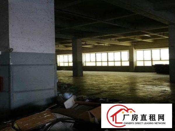 
凤岗天堂围西旺工业区1500厂房火热招租