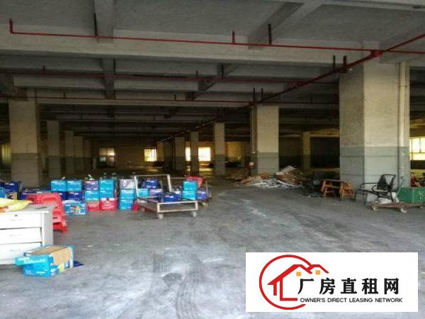 
凤岗天堂围西旺工业区1500厂房火热招租