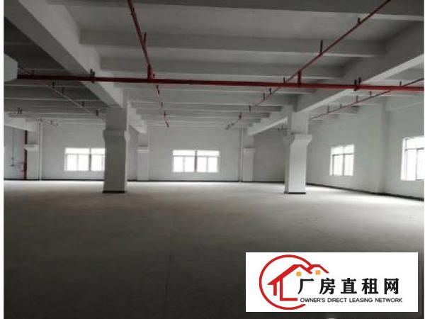 
凤岗竹塘新空出一楼2680平带牛角豪华装修