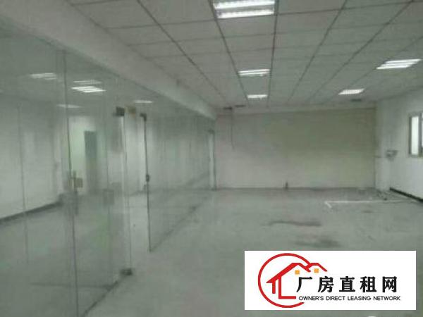 
凤岗竹塘新空出一楼2680平带牛角豪华装修