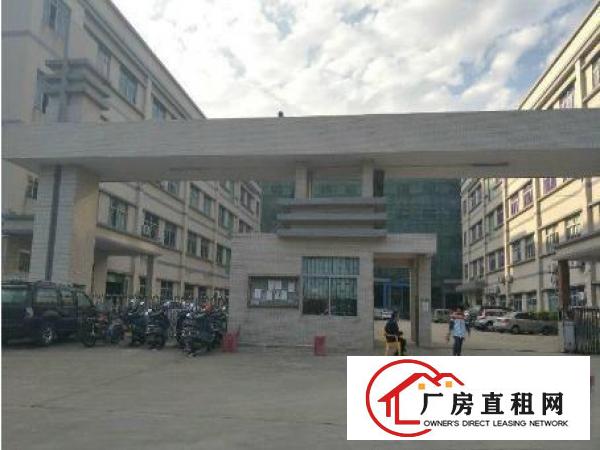 
凤岗竹塘新空出一楼2680平带牛角豪华装修