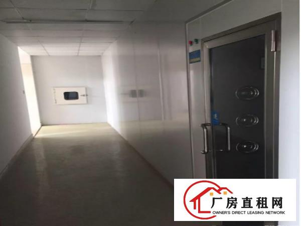 
凤岗油甘埔新出800平米整层精装修厂房急租