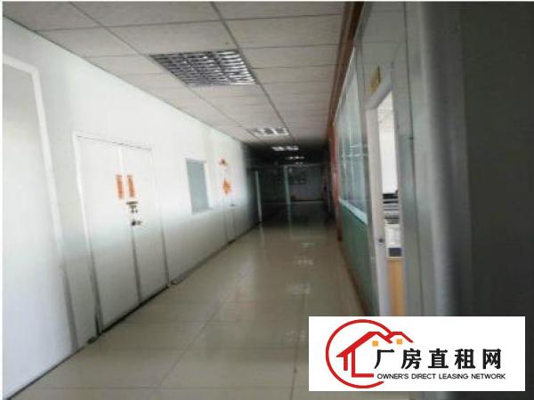 
凤岗新出楼上豪华无尘车间1350平租，原房东形象好