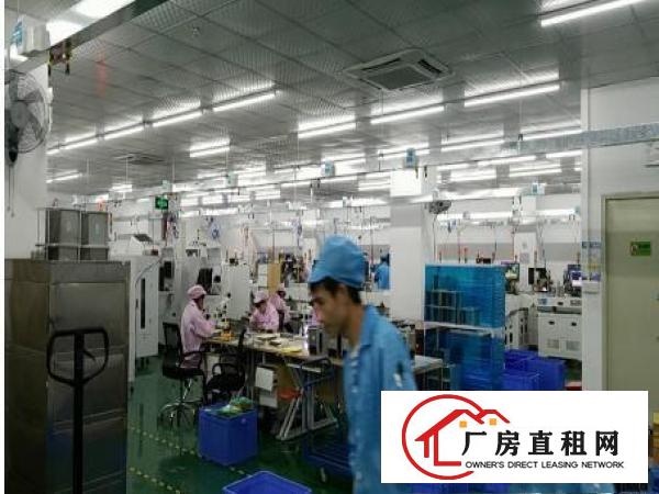 
凤岗五联新出原房东1500平带精装修厂房出租