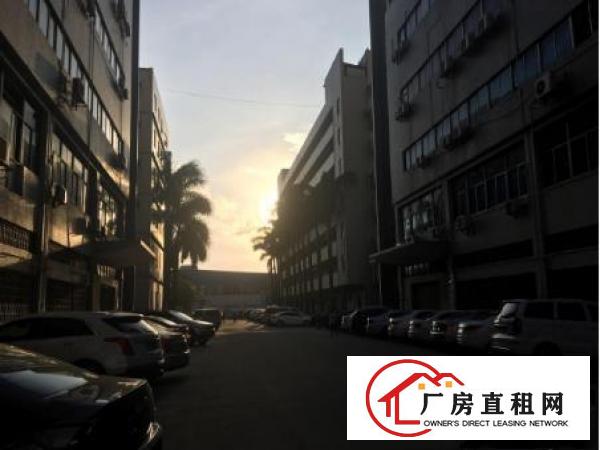 
凤岗五联新出原房东1500平带精装修厂房出租