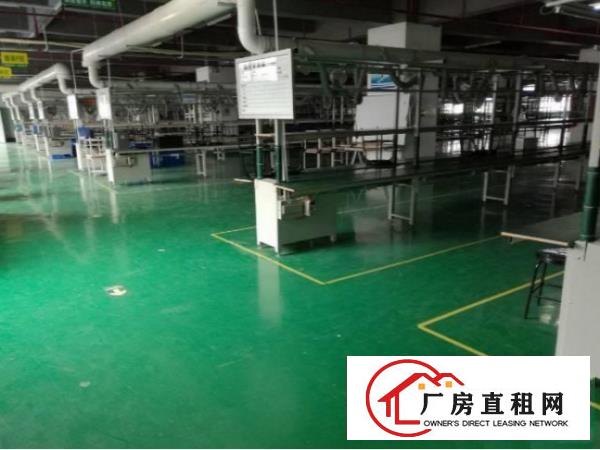 
凤岗雁田附近新出楼上2000平带豪华装修厂房出