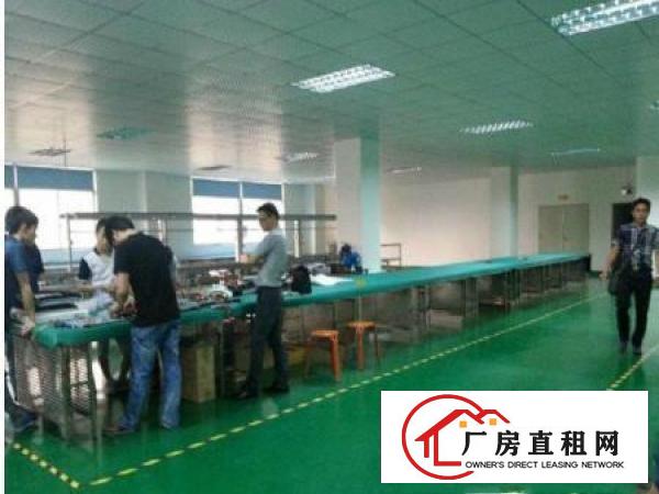 
凤岗竹尾田新出厂房独院3600平米急租