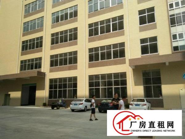 
凤岗一楼600到2000平米6.5米高厂房出租