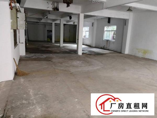 
凤岗天堂围新空出一楼1200平方出租水电齐全