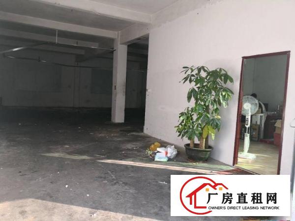 
凤岗天堂围新空出一楼1200平方出租水电齐全