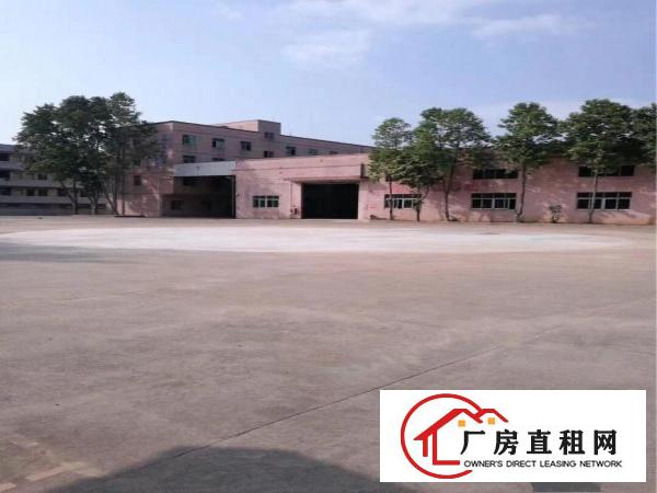 
凤岗靠近观澜单一层钢构厂房8800滴水8米空地1万