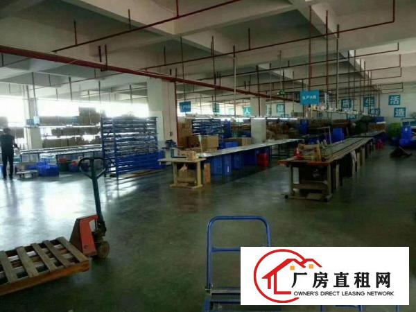 
金凤凰7500平米独门独院精装修原房东出租
