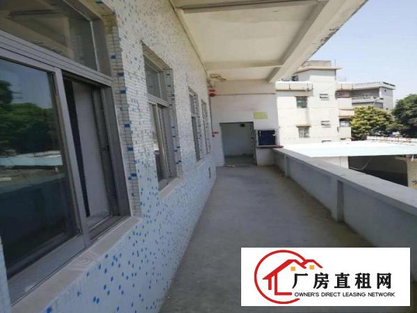 
凤岗镇中心旁独门独院2200平米出租