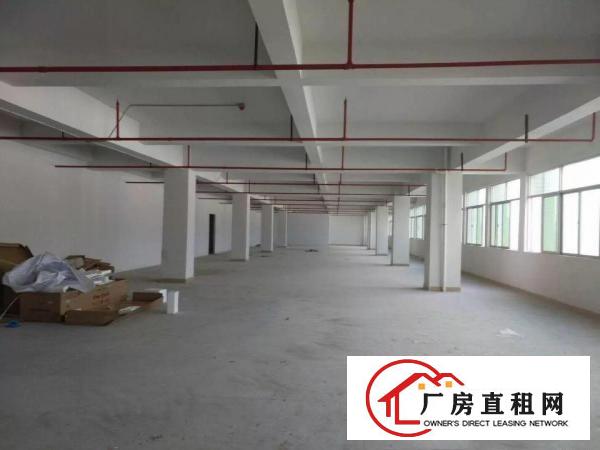 
凤岗原房东厂房2800平方招租，13元