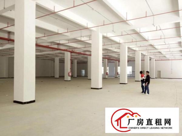 
凤岗全新6.5高一楼2850平方直租