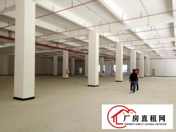 
凤岗全新6.5高一楼2850平方直租