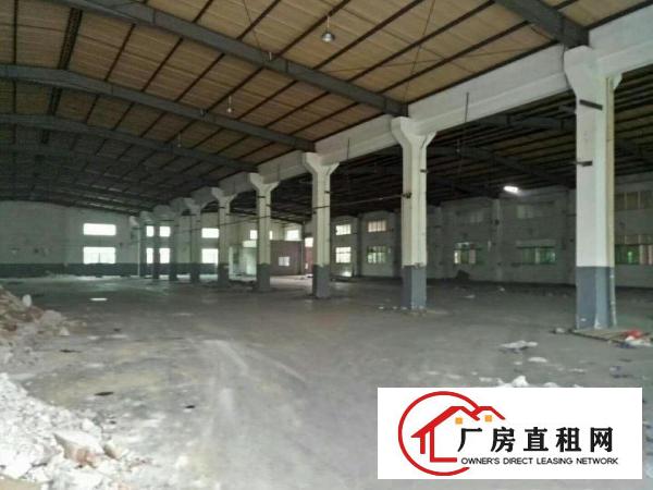 
凤岗镇金凤凰工业区8米高钢构2250平方