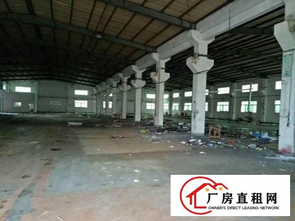 
凤岗镇金凤凰工业区8米高钢构2250平方