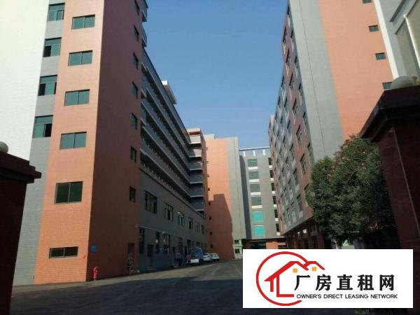 
凤岗业主全新厂房1.2.3楼2300平方一层