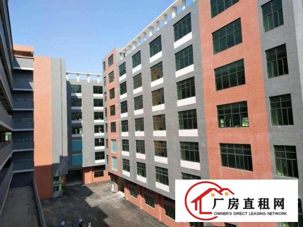 
凤岗业主全新厂房1.2.3楼2300平方一层