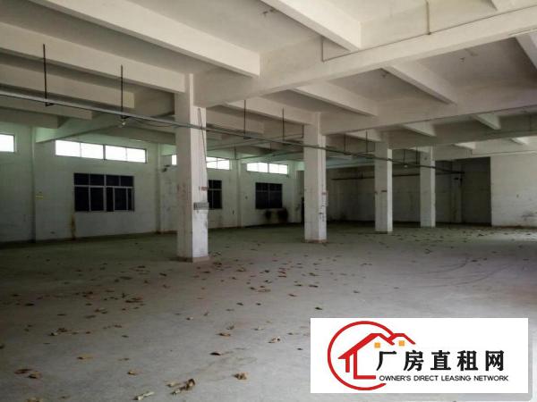 
凤岗新出4800平方独门独院厂房