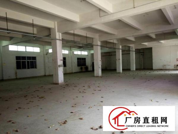 
凤岗新出4800平方独门独院厂房