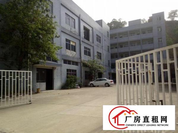 
凤岗新出4800平方独门独院厂房