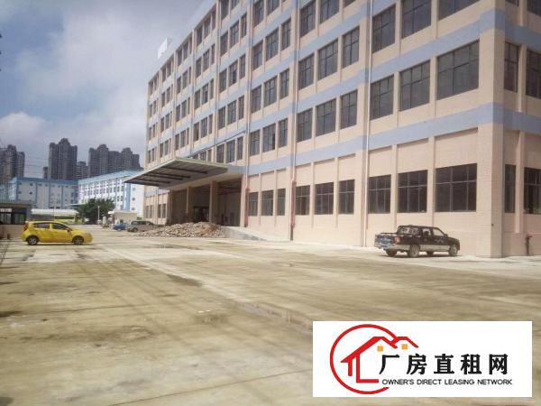 
急！！凤岗全新独院面积13400平方