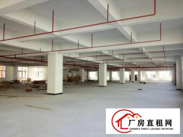 
急！！凤岗全新独院面积13400平方