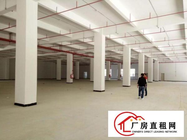 
急！！凤岗全新独院面积13400平方