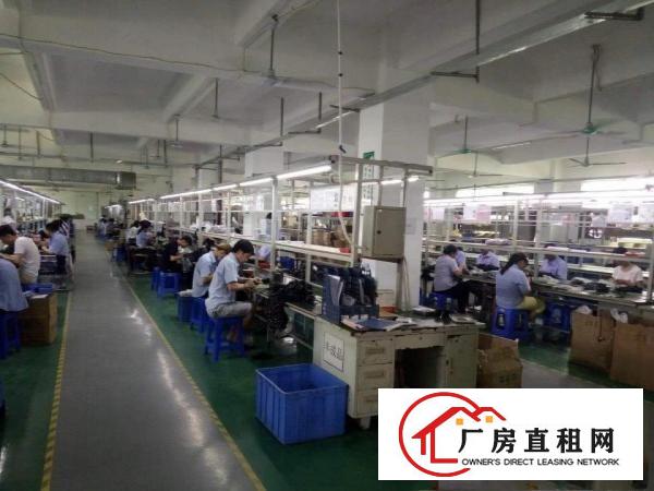 
凤岗新出楼上1950带豪华装修（无需转让费）