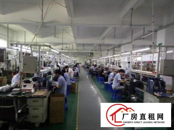 
凤岗新出楼上1950带豪华装修（无需转让费）