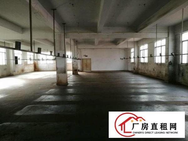 
凤岗新出4层独院厂房底价出租