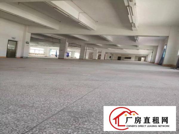 
新出独门独院厂房两栋10000平方宿舍2000平方